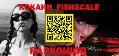 индика Сланцы