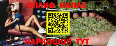 крисы Славгород