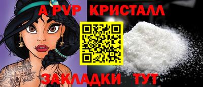 крисы Славгород
