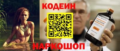 индика Сланцы
