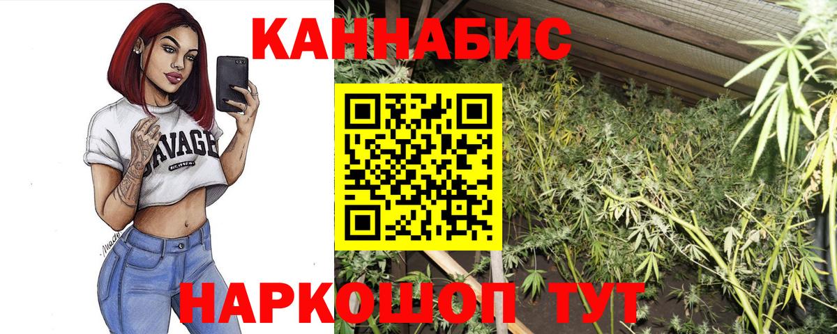 Бошки Шишки ГИДРОПОН Нижневартовск